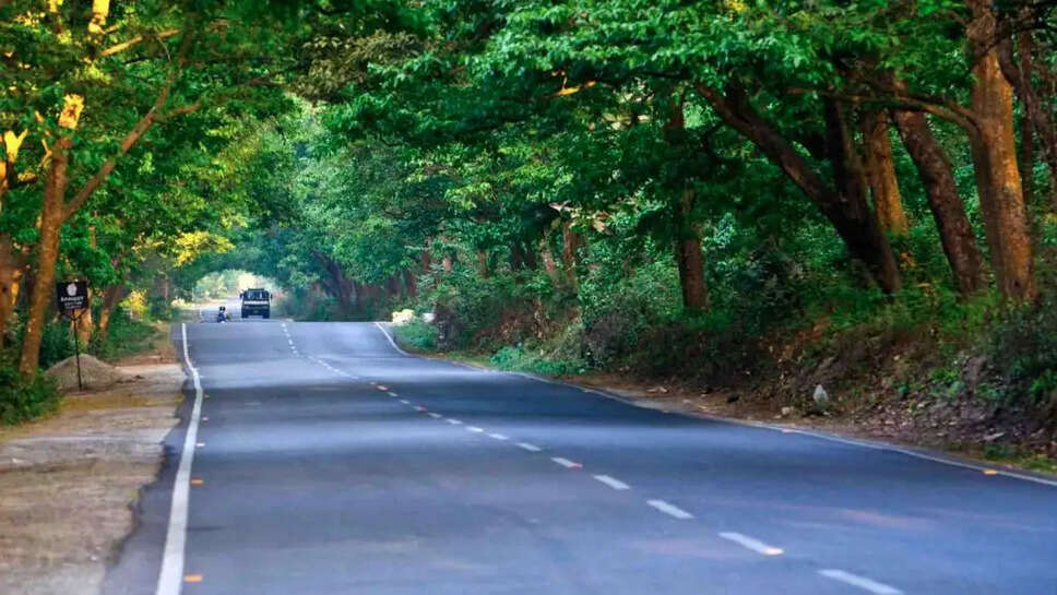 Wonderfull highway