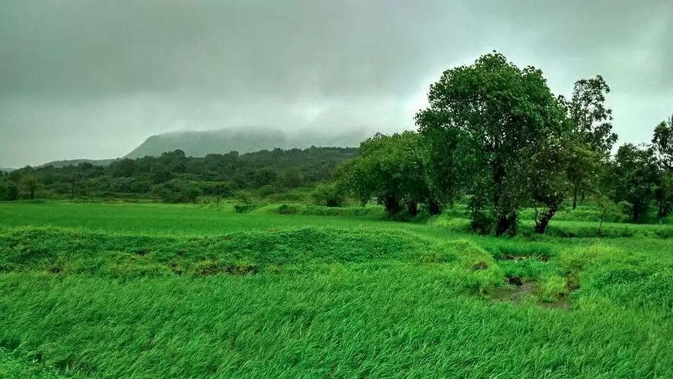 Monsoon updates