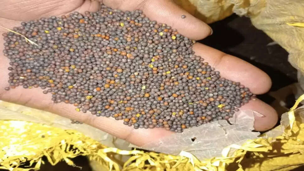 Sarson rate 30 May