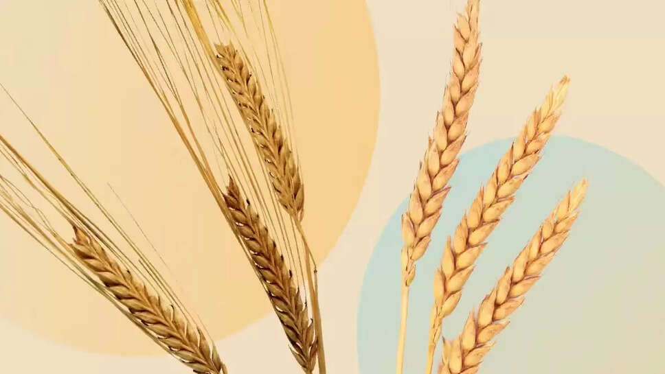 Wheat News