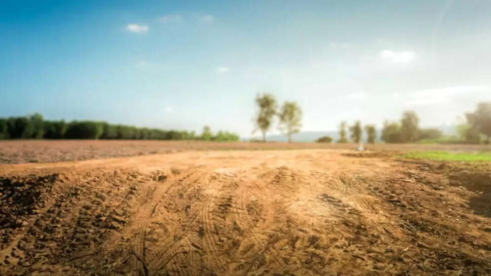 land news 2025